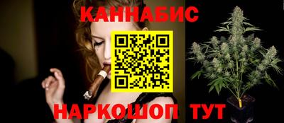 spice Новодвинск