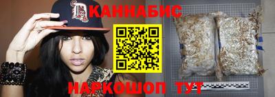 spice Новодвинск
