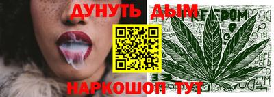 spice Новодвинск