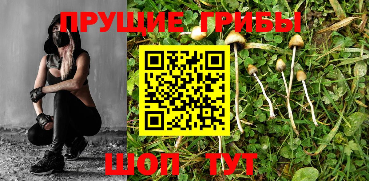 Псилоцибиновые грибы Magic Shrooms  Вход с VPN  Обнинск 